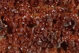 Glittering Ruby Red Vanadinite Crystals on Barite - Morocco #349429-1